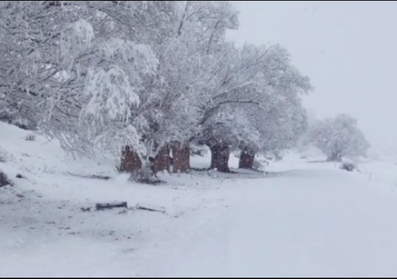 3 il�ede kar ya���� etkili oldu