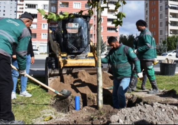 KOCAS�NAN, YE��L HAMLE �LE GELECE�E NEFES OLUYOR