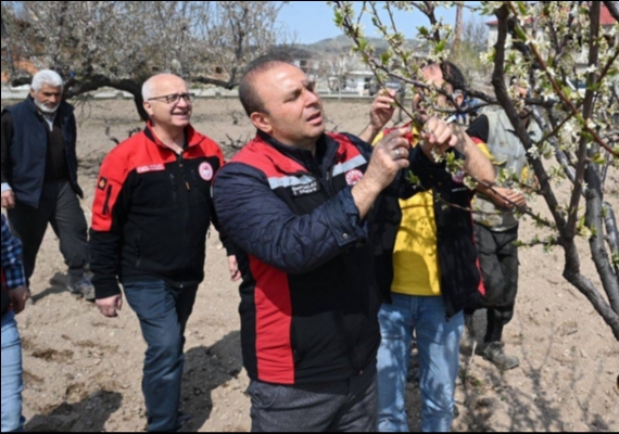 �l M�d�r� Saklav�dan Hac�lar�daki meyve a�a�lar�nda inceleme