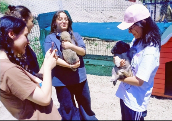 TALAS PAT� EV�'NDE SEVG� DOLU BULU�MA 
