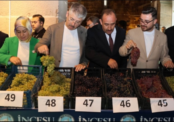 �ncesu 3 b�y�k organizasyonda 100 bin ki�iyi a��rlad�