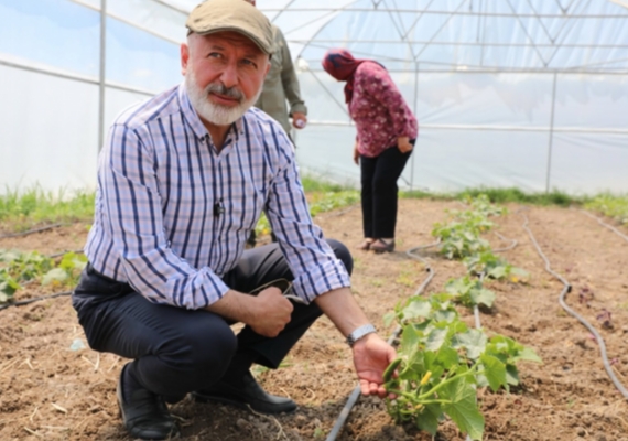 KOCAS�NAN�IN T�RK�YE�YE �RNEK OLAN TARIM PROJES�NDE SON HASAT